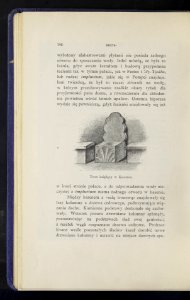 Wyprawa na Patmos, Efez i Krete w r. 1899 i 1903 1904 (72178599)
