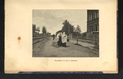 Z podrozy po Bosni i Hercegowinie 1899 (97657021)