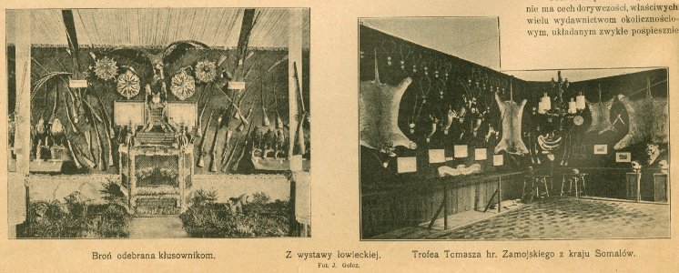 Z wystawy łowieckiej - Trofea Tomasza hr. Zamojskiego z kraju Somalów - Fot. J. Golcz (68593)