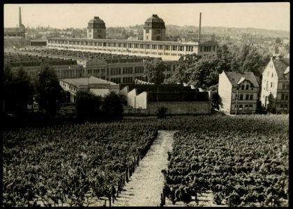 Zielona Gora, fabryka tkacka z winnicy miejskiej 1949 (39503420) photo