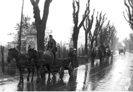 Zaprzęgi konne na drodze na foncie włoskim (2-2412)