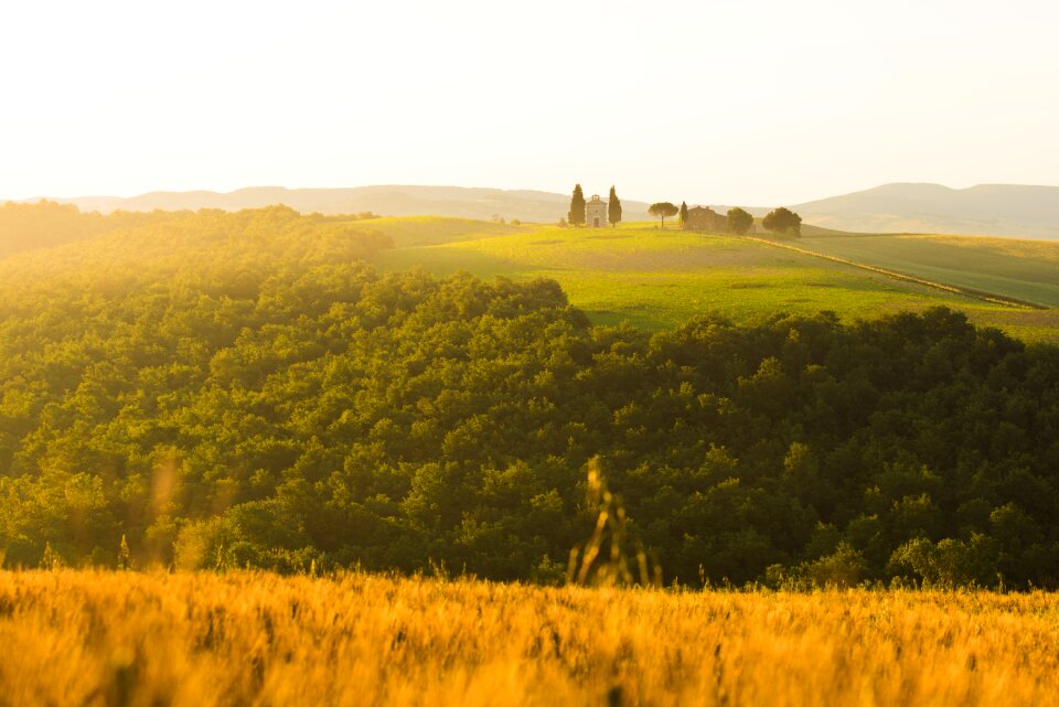 Agriculture field landscape photo