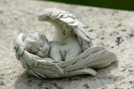 Cemetery wing sweet