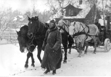 Zaprzęg konny z kuchnią polową w drodze do jednostek niemieckich pod Leningradem (2-866)