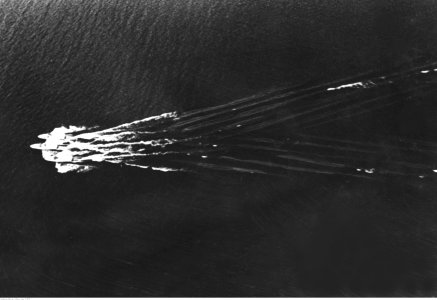 Łodzie torpedowe na morzu (2-2575) photo