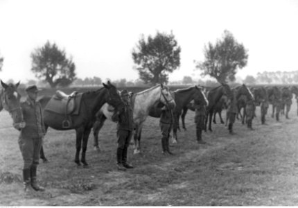 Ćwiczenia kawalerii niemieckiej w Galicji (2-772)