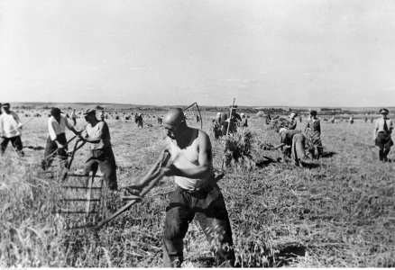 Żniwa na Ukrainie (2-1862)