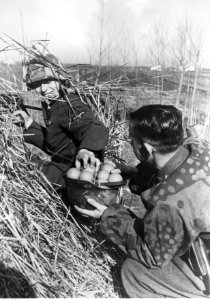 Żołnierz niemiecki na stanowisku bojowym na froncie włoskim (2-2276)