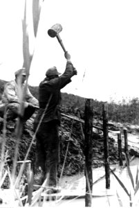 Żołnierz podczas wbijania pali w wodzie na froncie wschodnim (2-2376)