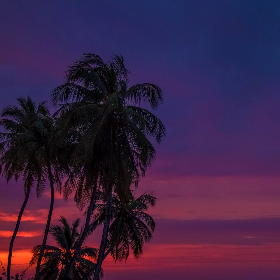 Island exotic sky