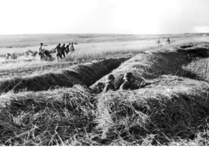 Żołnierze niemieccy podczas pilnowania zbioru plonów (2-1852)