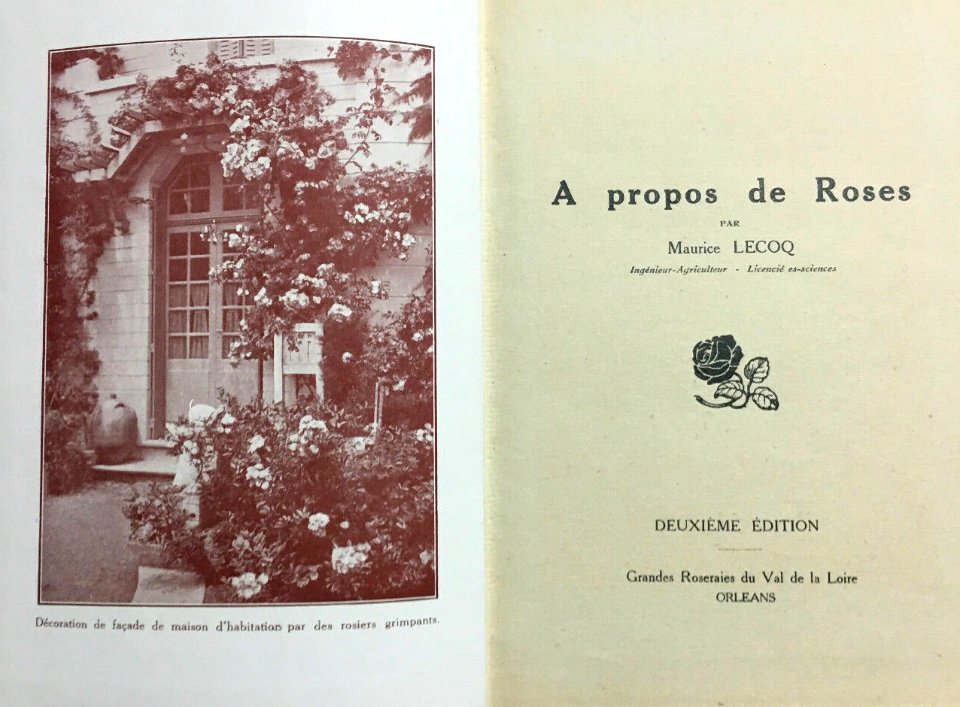 À propos de roses 1