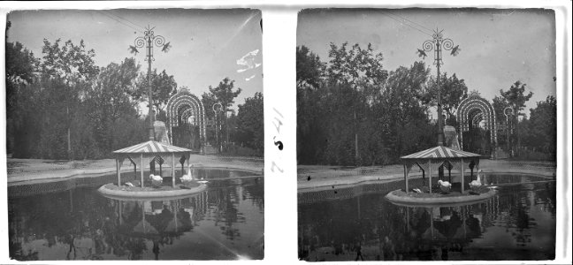 Ànecs del parc Turó de Barcelona