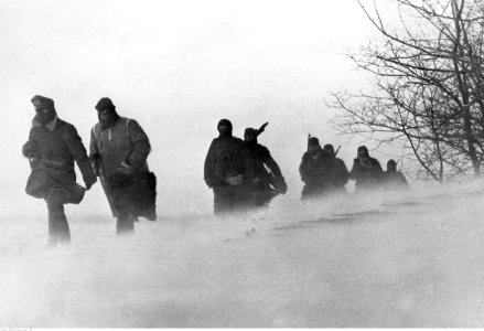 Żołnierze niemieccy w marszu podczas zamieci śnieżnej na froncie wschodnim (2-999)