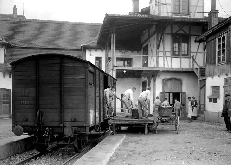 Äpfel werden von der Eisenbahn abgeladen - CH-BAR - 3239202