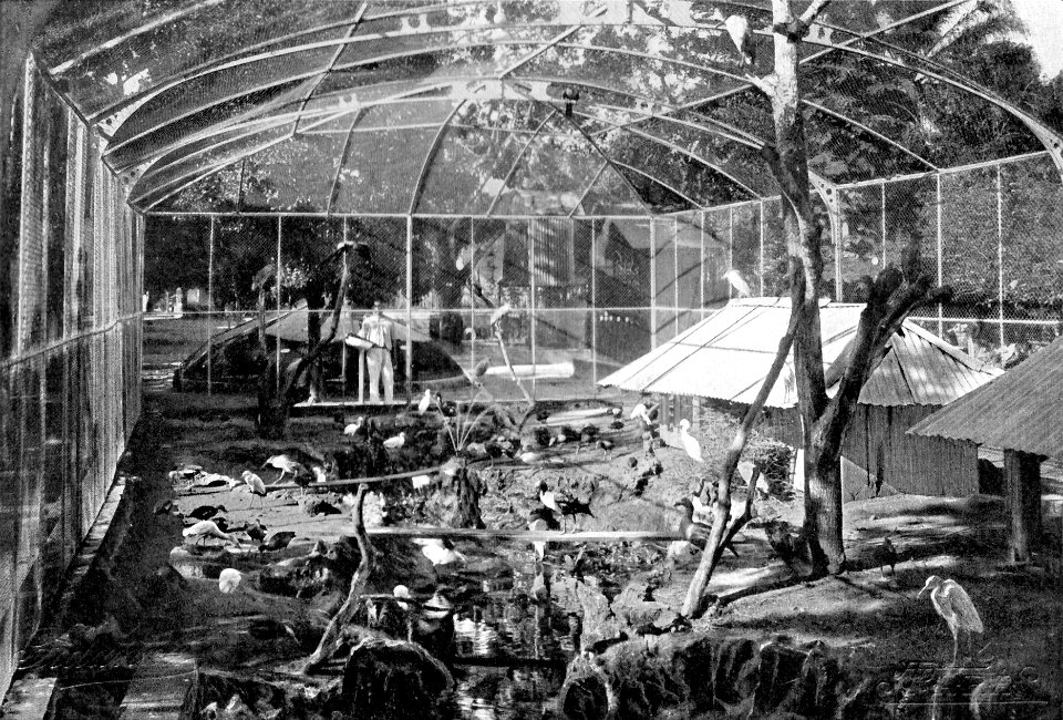 ÁlbumdeBelém1902Ilustração18