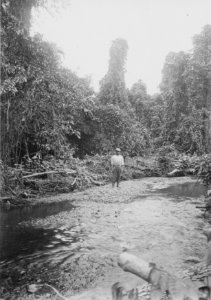 Å och badplats vid Motongkad. Sulawesi, Kabupaten Bolaang Mongondow. Indonesien - SMVK - 010697b