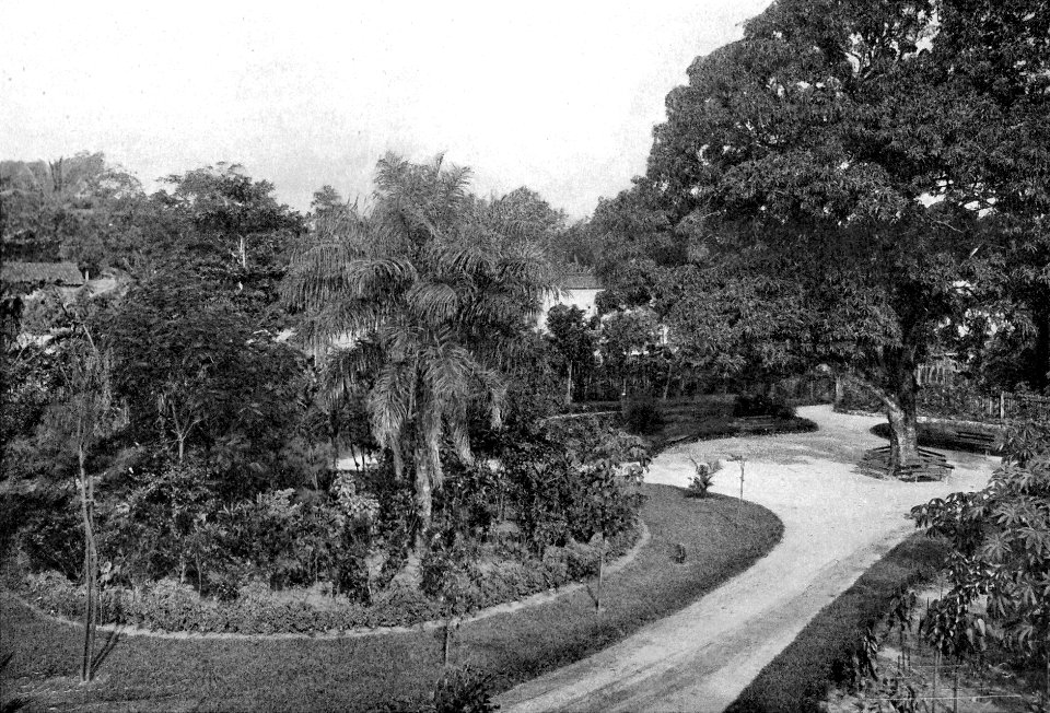 ÁlbumdeBelém1902Ilustração15