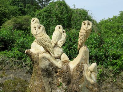 Owl carving wisdom
