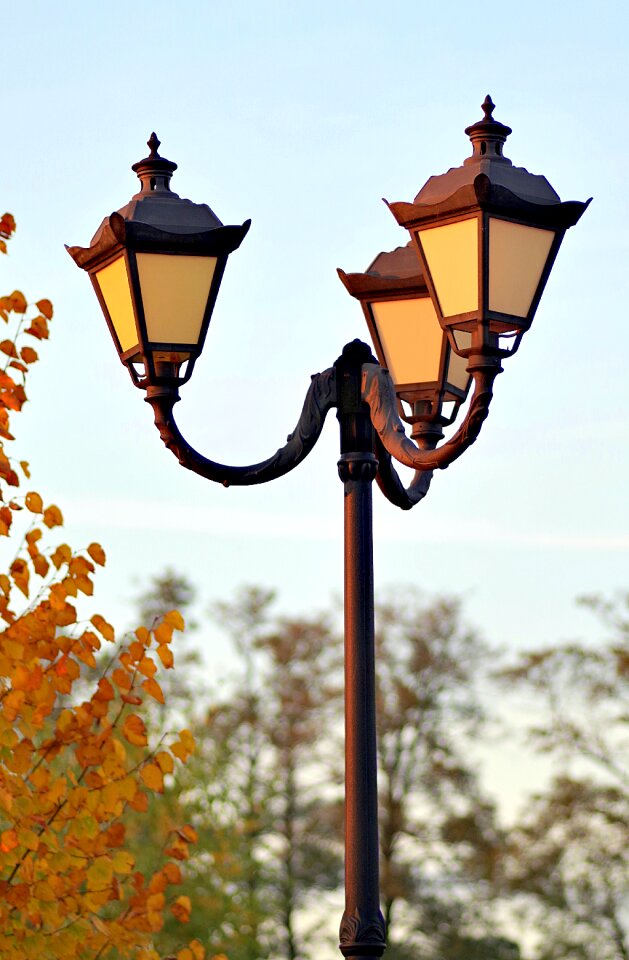 Antique autumn alley