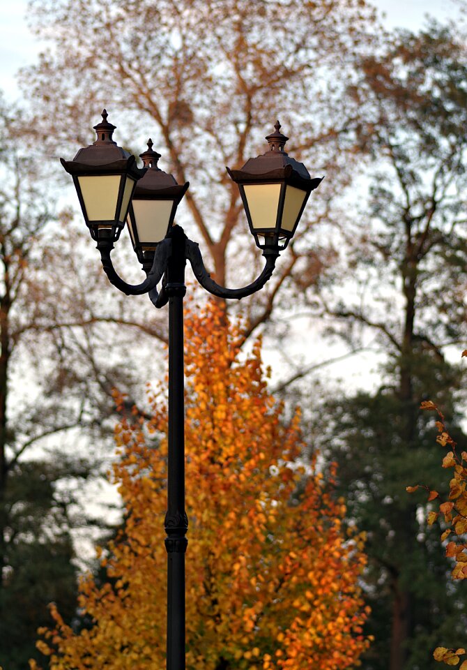 Lantern park alley
