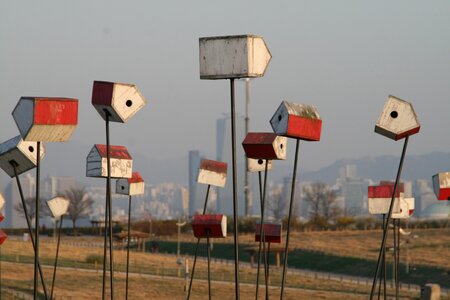 Scenery mail box tidings