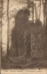 Épinal (Vosges), Les Ruines du Château CP 1055 PsurR