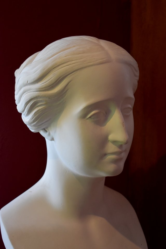 Émilien de Nieuwerkerke - Eugénie de Montijo 02