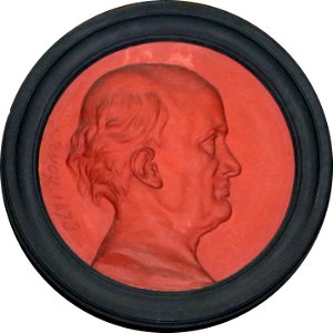 Étienne Geoffroy Saint-Hilaire, médaillon en terre cuite de Aimé Charles Irvoy, 1871