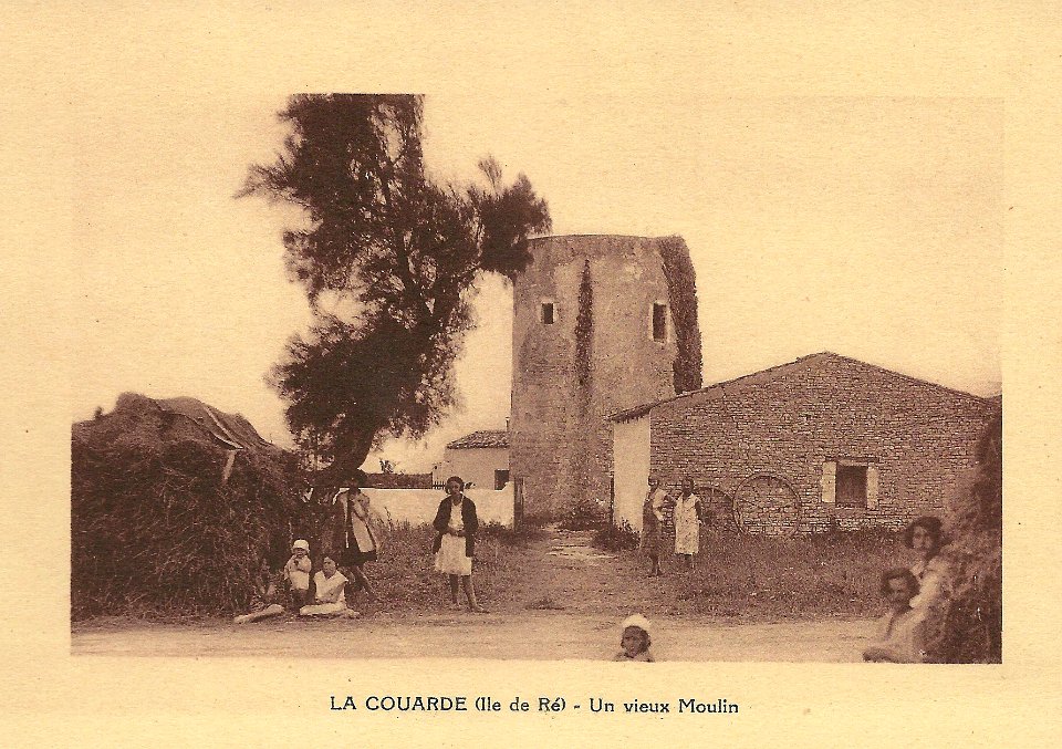Île de Ré-FR-17-La Couarde-vieux moulin