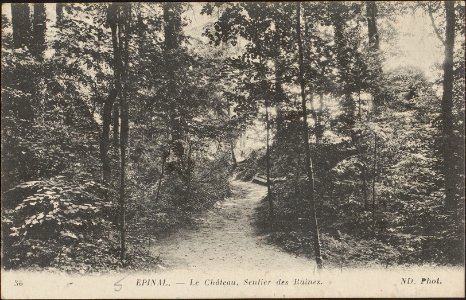 Épinal, Le Château, Sentier des Ruines CP 1064 PsurR