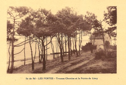 Île de Ré-FR-17-Les Portes-Trousse Chemise & Pointe du Lizay