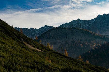 Alps autumn trees