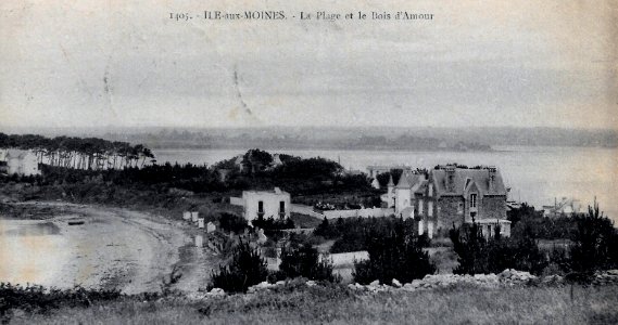 Île-aux-Moines Plage et Bois d'Amour
