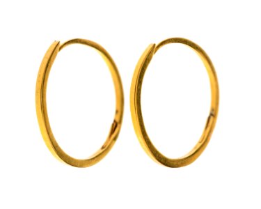 Örringar av guld - Hallwylska museet - 110027