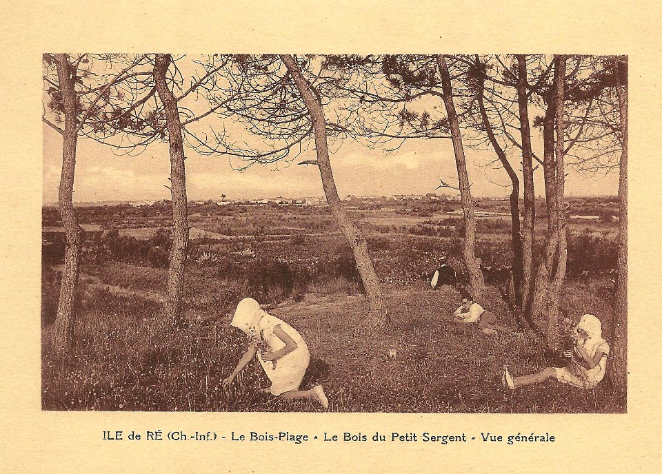 Île de Ré-FR-17-Le Bois plage-Bois du petit sergent