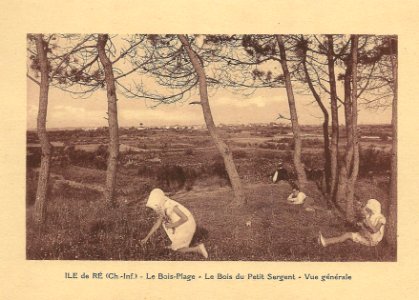 Île de Ré-FR-17-Le Bois plage-Bois du petit sergent