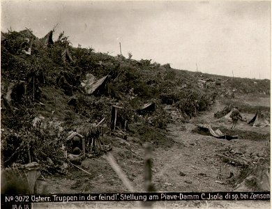 Österr.Truppen in der feindl.Stellung am Piave-Damm C.Isola di sp.bei Zenson 18.6.18. (BildID 15619878)
