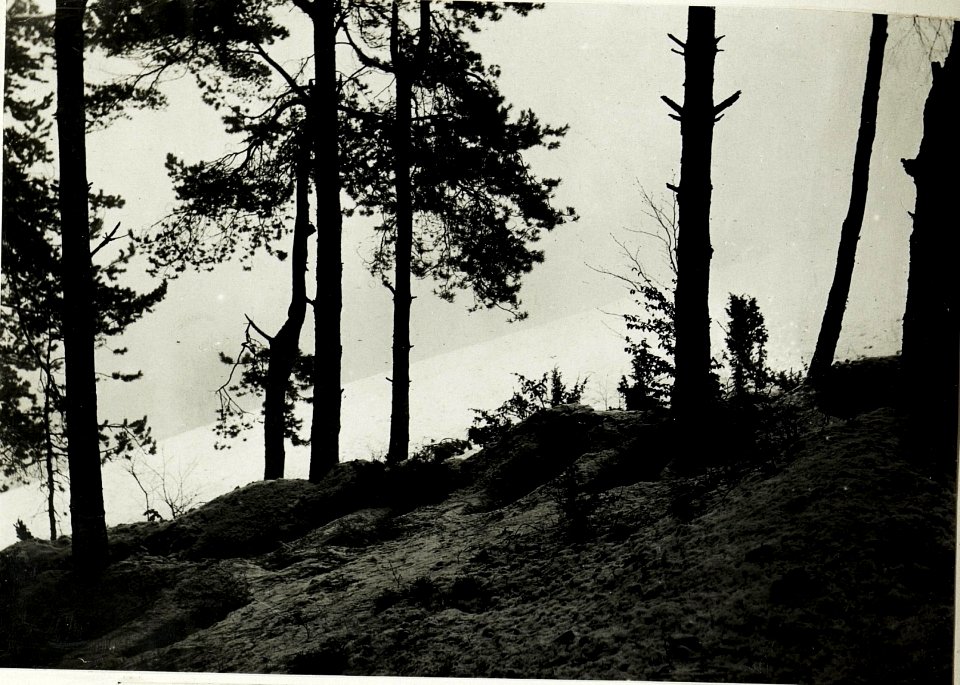 Österreichischer Schützengraben am Waldrand bei Kobyla. (BildID 15592498)
