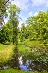 Park landscape russia