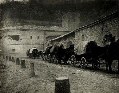 Österreichischer Train auf der Straße nach Primolano. (BildID 15417802)