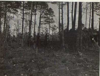 Östl.Galuzia, Feldwache. (K.u.11.KTD.) (BildID 15674899)