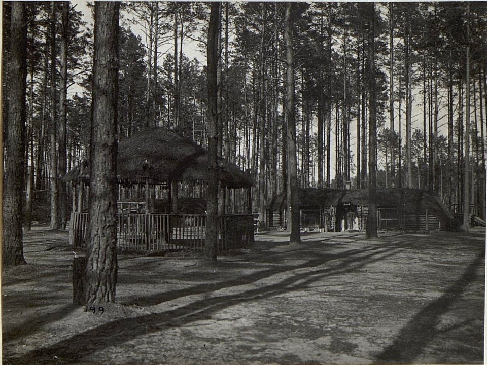 Östl.Galuzia, Inftr.Stellung. Unterstand. (K.u.11.KTD.) Juni.1916. (BildID 15678465)