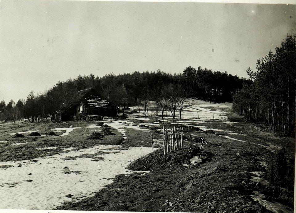 Österreichisches Massengrab auf der Kobyla - Höhe. (BildID 15592505)