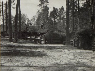 Östl.Galuzia, Inftr.Stellung 1.Linie. (K.u.11.KTD.) (BildID 15678633)