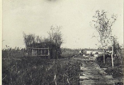 Östl.Galuzia, Blockhaus für Wache mit Verbindung im Sumpf. (K.u.11.KTD.) (BildID 15674759)