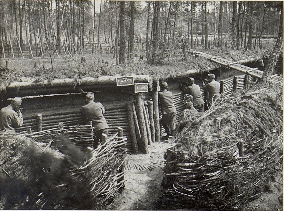 Östl.Galuzia, Inftr.Stellung 1.Linie. (K.u.11.KTD.) Juni.1916. (BildID 15678598)