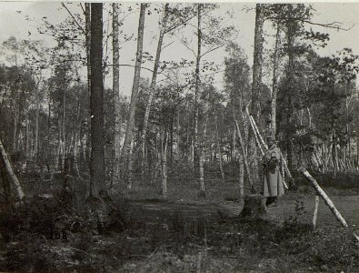 Östl.Galuzia, Vedette bei einer Feldwache. (K.u.11.KTD.) (BildID 15678528)