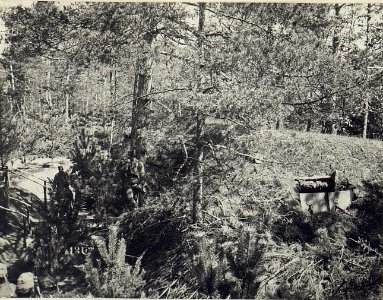Östl.Galuzia, Masch.Gewehr-Unterstand. (K.u.11.KTD.) (BildID 15674864)