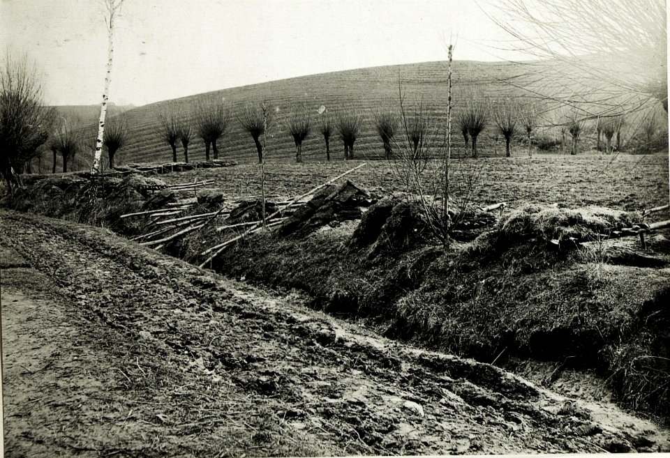 Österreichische Infanteriedeckungen im Tal bei Boczow. (BildID 15591930)